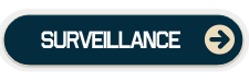 Video Surveillance